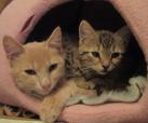 Pinky und Daniel