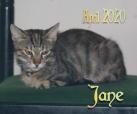Jane