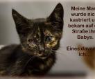 KASTRATIONEN RETTEN LEBEN