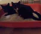 Mama Gina und Söhnchen Tom