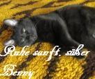 Benny 