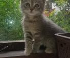 Amunet <3