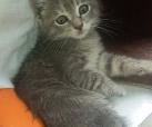 Amunet <3