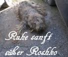 Roshko